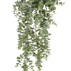 Floral Decor^CRI Hanging Eucalyptus