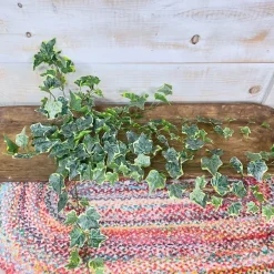 Greenery^CRI Hanging Ivy Varigated, 28