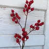 Sprays^Regency Harvest Crabapple Spray