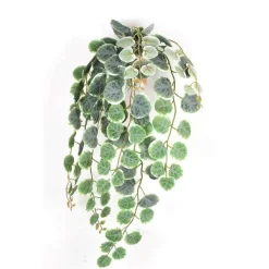 Wall Decor^Direct Export Co. Henna Bush