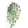 Spring^Direct Export Co. Henna Bush