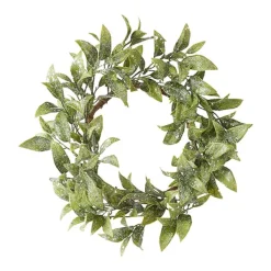 Wreaths^RAZ Iced Laurel Leaf Mini Wreath, 14"