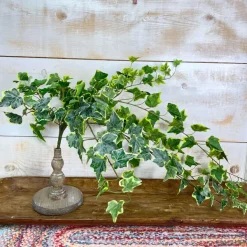 Floral^CRI Large Variegated Ivy