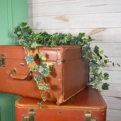 Sprays^CRI Large Variegated Ivy