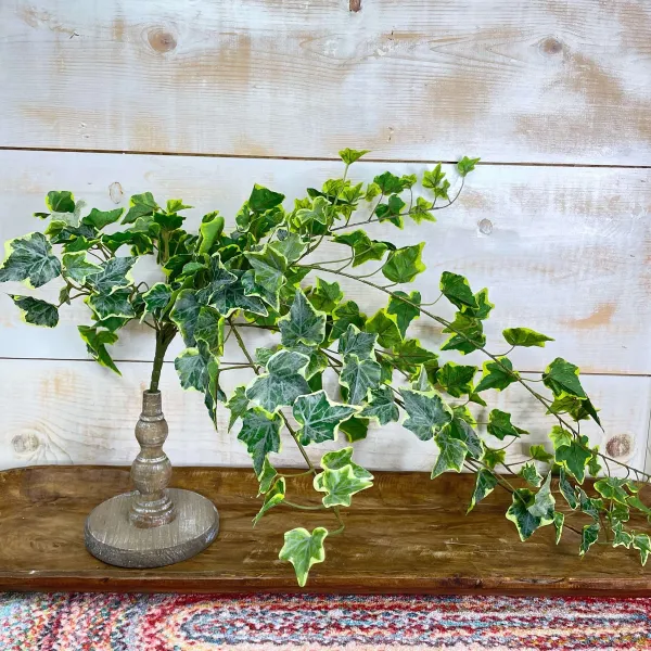 Table Decor^CRI Large Variegated Ivy