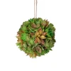 Succulents^Regency Larger Green Brown Succulent Orb