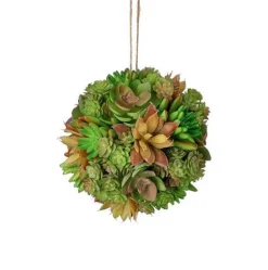 Succulents^Regency Larger Green Brown Succulent Orb