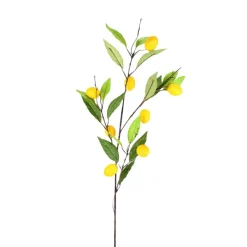 Floral^Direct Export Co. Lemon Branch