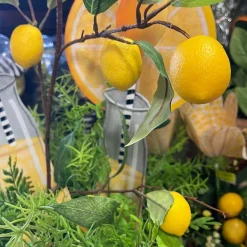 Sprays^Direct Export Co. Lemon Branch