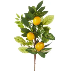 Floral^RAZ Lemon Spray, 27