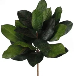 Picks^Craig Bachman Magnolia Leaf Bush Pick
