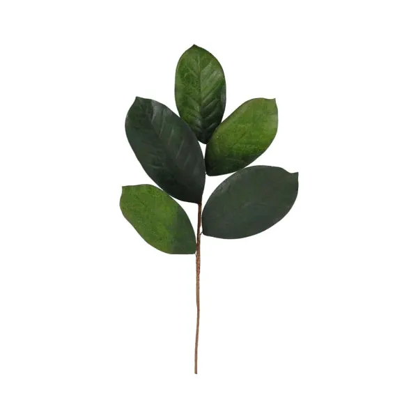 Floral Decor^Craig Bachman Magnolia Leaf Pick