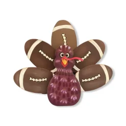Focal Points^The Round Top Collection Maroon Football Turkey