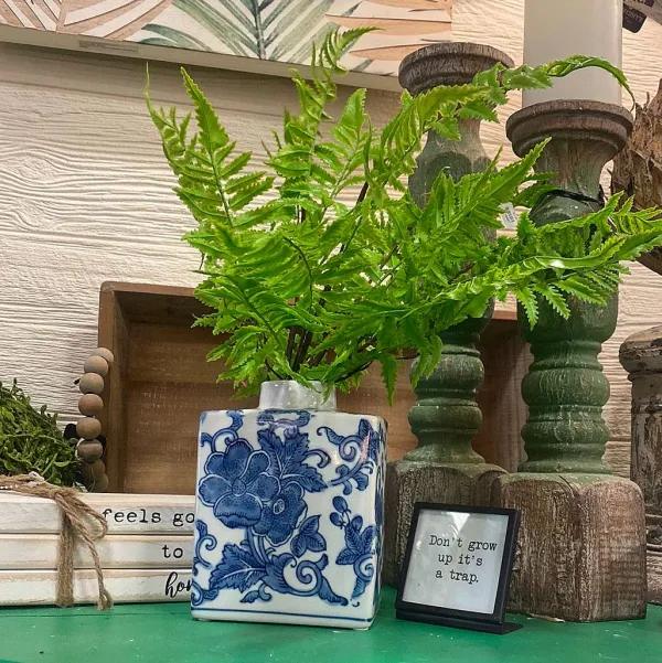 Spring Picks^CRI Medium Boston Fern