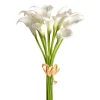 Spring Sprays^CRI Mini Calla Lily Bundle, White