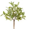 Floral Decor^RAZ Mistletoe Pick