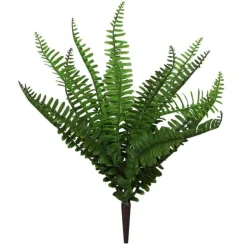 Floral^Craig Bachman Mixed Fern Bush