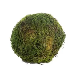 Floral Decor^CRI Moss Orb 5"