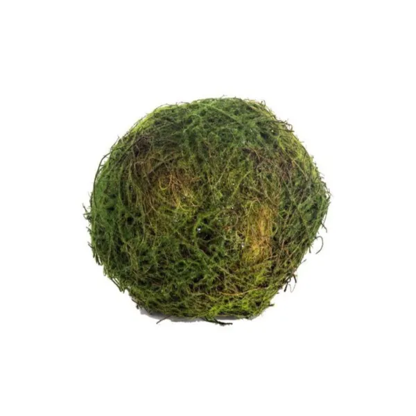 Floral Decor^CRI Moss Orb 4"