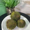 Table Decor^CRI Moss Orb 4"