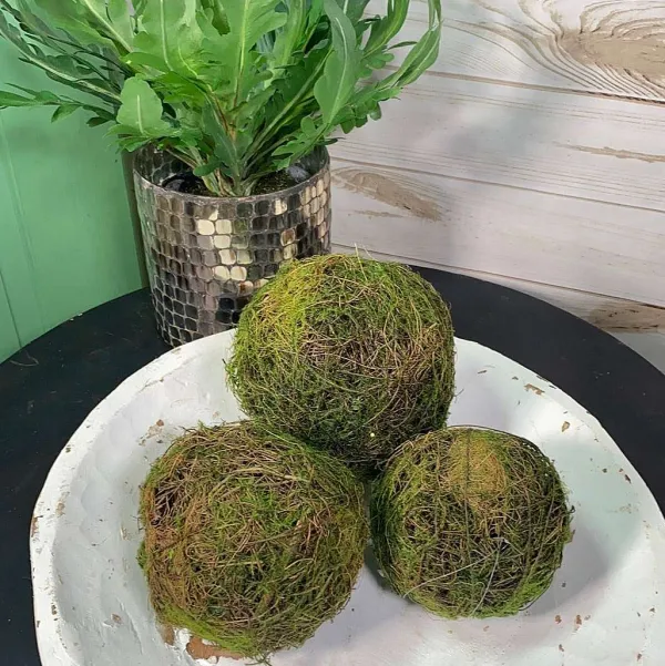 Table Decor^CRI Moss Orb 4"
