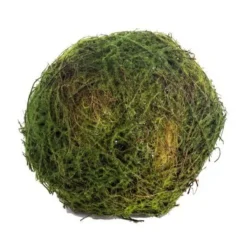 Faux Plants^CRI Moss Orb 6