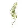 Picks^Regency Narrow Fern Frond 48"