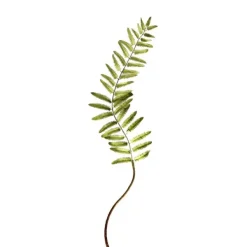 Picks^Regency Narrow Fern Frond 48"