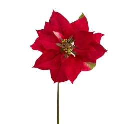 Floral^Direct Export Co. Natural Poinsettia Stem