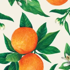 Party Diy^Hester & Cook Orange Orchard Cocktail Napkin Set