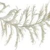Garlands^Craig Bachman Pampas Grass Plume Deluxe Garland