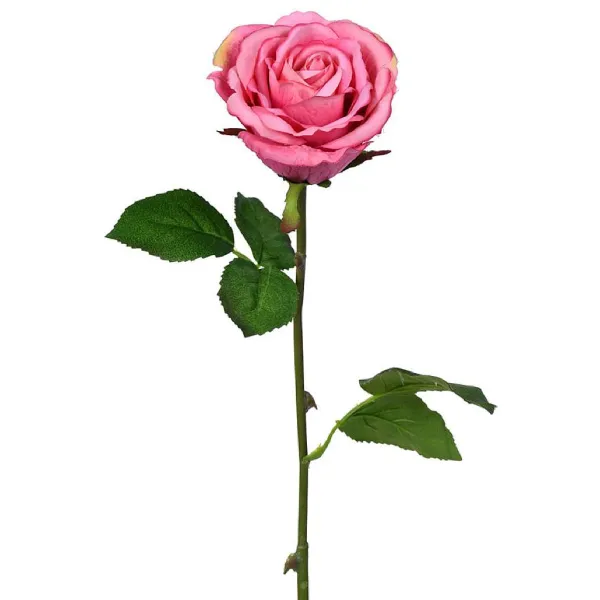 Stems^CRI Pink Rosebud Stem
