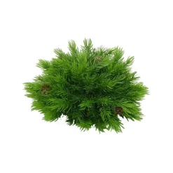 Faux Plants^Liberty Floral Plastic Pine Half Ball