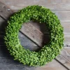 Spring^Mills Floral Company Preserved Boxwood Country Manor Wreath, 24"