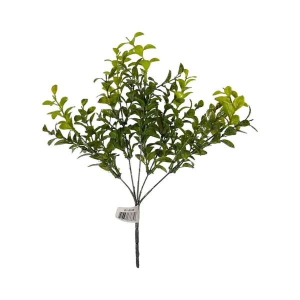 Floral Decor^CRI Privet Bush