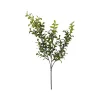 Greenery^CRI Privet Leaf Spring Green 27"