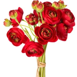 Spring Sprays^CRI Ranunculus Bundle, Red