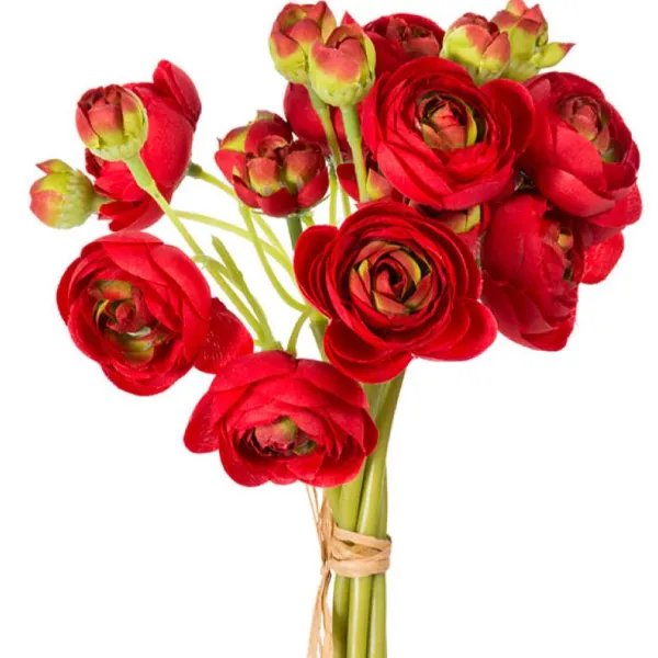 Spring Sprays^CRI Ranunculus Bundle, Red