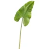 Floral^RAZ Real Touch Caladium Leaf Stem, 36"