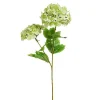 Floral Decor^RAZ Real Touch Green Hydrangea Spray, 19"