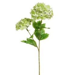 Spring Sprays^RAZ Real Touch Green Hydrangea Spray, 19"