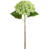 Stems^RAZ Real Touch Green Hydrangea Stem, 20.5"