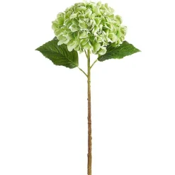 Stems^RAZ Real Touch Green Hydrangea Stem, 20.5"