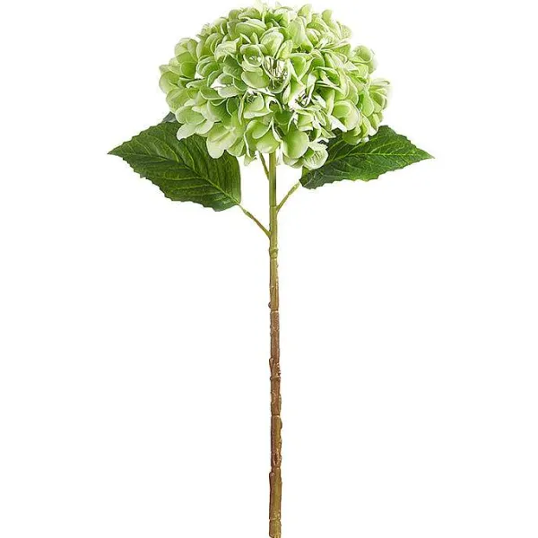 Stems^RAZ Real Touch Green Hydrangea Stem, 20.5"