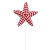 Picks^Liberty Floral Red Gingham Star Pick