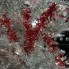 Floral^Direct Export Co. Red Metallic Tinsel Spray