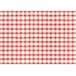 Party Diy^Hester & Cook Red Painted Check Placemat Sheets