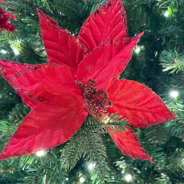 Sprays^Craig Bachman Red Textured Poinsettia
