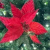 Floral Decor^Craig Bachman Red Textured Poinsettia