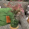 Floral^Regency Rose Green Feather Fern Plant